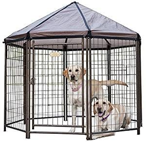 Modular Outdoor best dog kennel