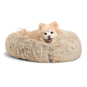 Best Dog Beds - Best friend by sheri