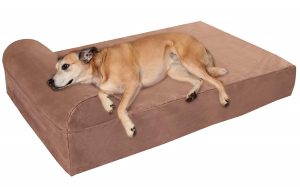 Best Dog Beds - Big Baker 7-Inch