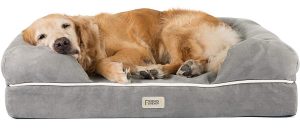 best price dog beds - Friends Forever Premium Orthopedic Dog Bed