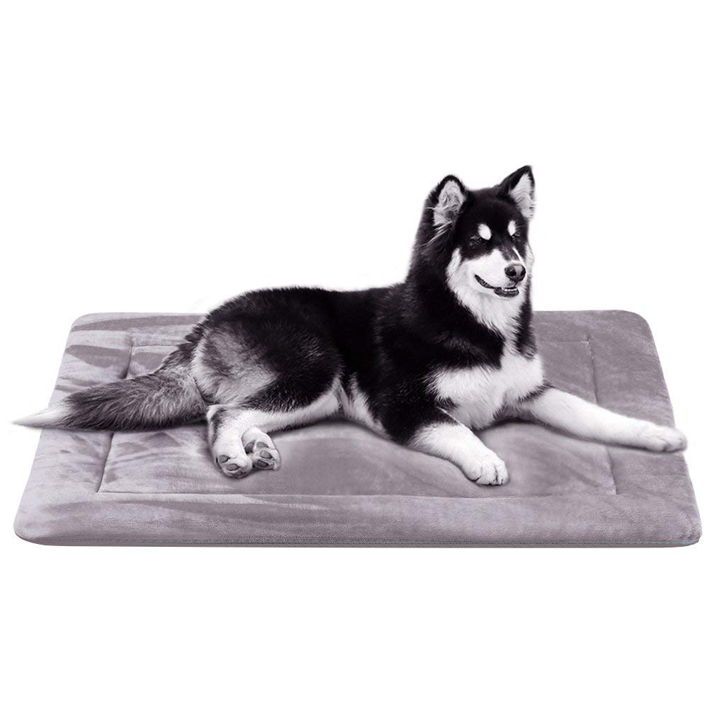 best dog beds - Joicyco Dog Bed