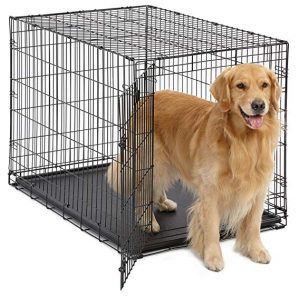 best dog crates for large dogs
