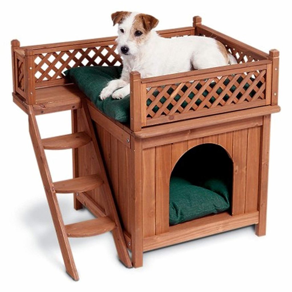dog furniture