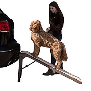 best dog ramps for cars