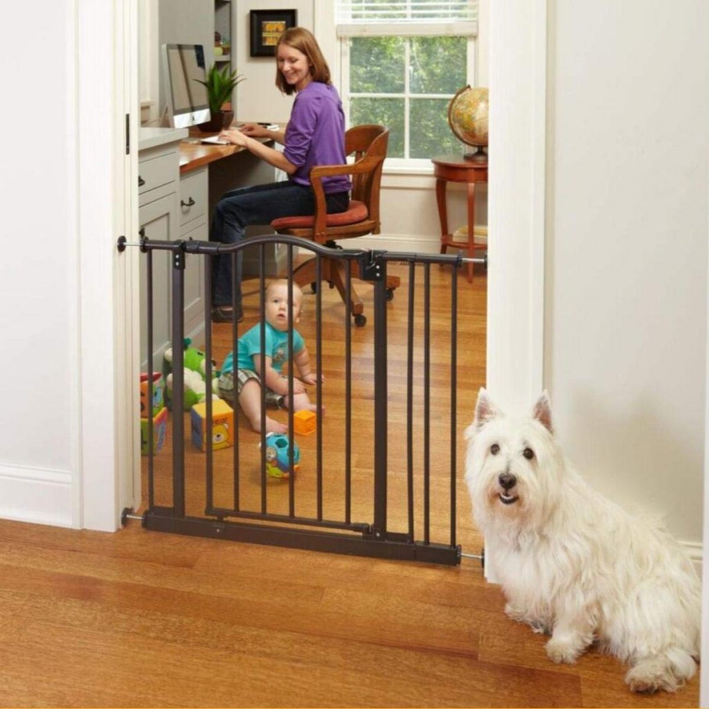 best pet gates indoor