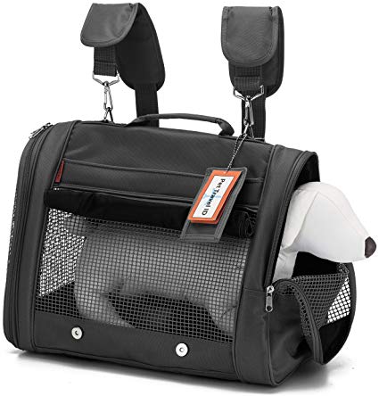 Backpack Pet Travel Carrier