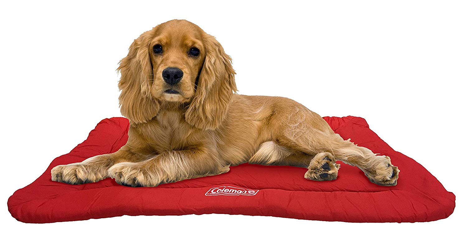 The Best Outdoor Dog Beds Our Top reviews DOG FURNITURE