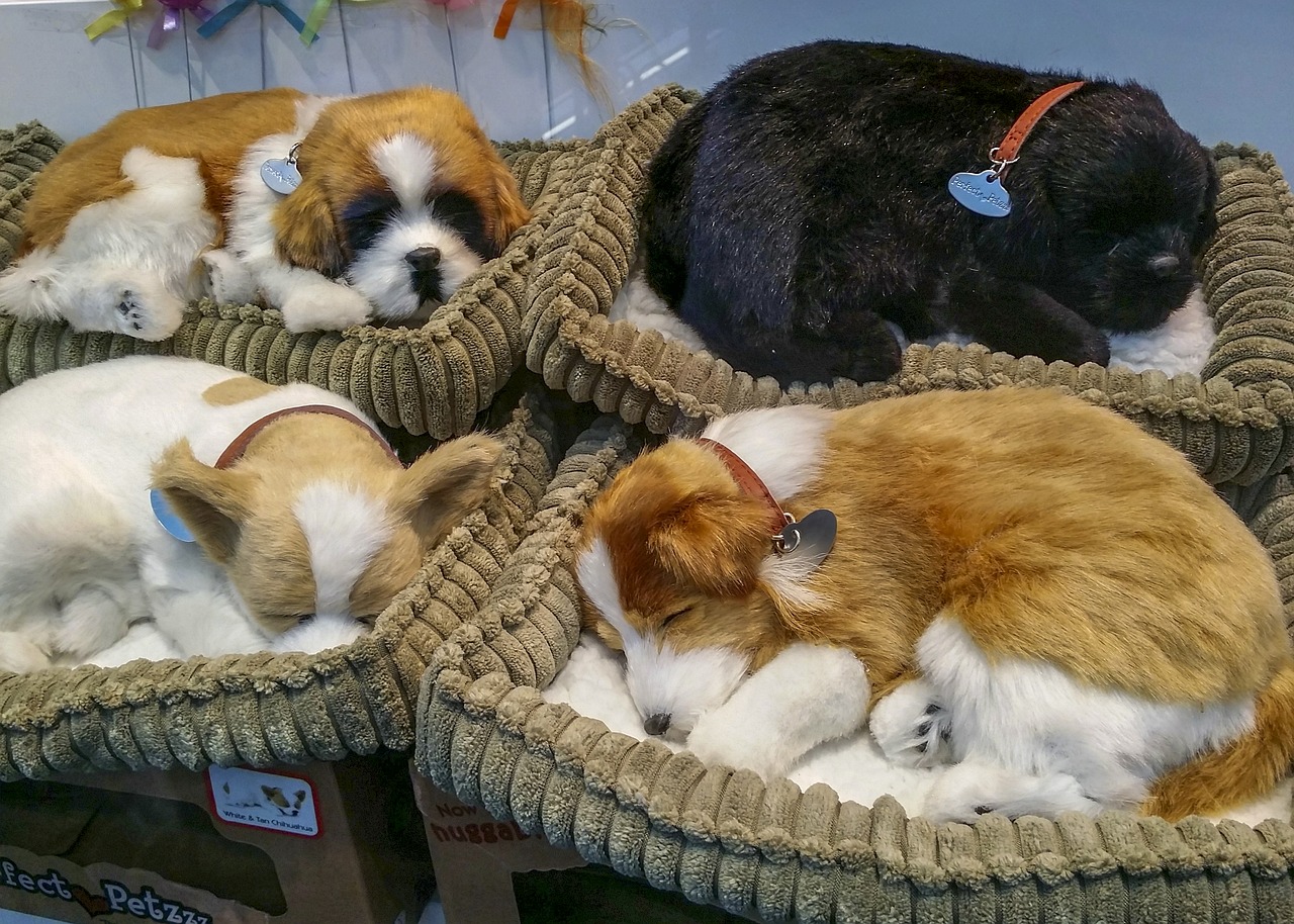 Best dog beds